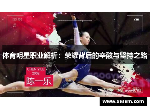 体育明星职业解析：荣耀背后的辛酸与坚持之路