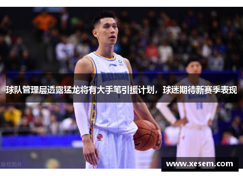 球队管理层透露猛龙将有大手笔引援计划，球迷期待新赛季表现