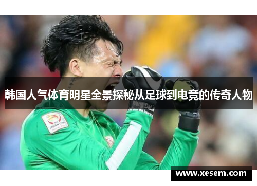 韩国人气体育明星全景探秘从足球到电竞的传奇人物