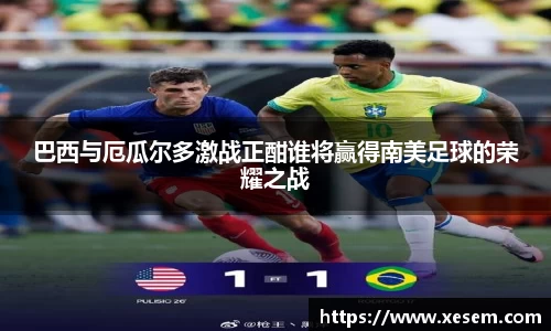 巴西与厄瓜尔多激战正酣谁将赢得南美足球的荣耀之战