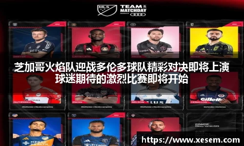 美嘉体育芝加哥火焰队迎战多伦多球队精彩对决即将上演球迷期待的激烈比赛即将开始